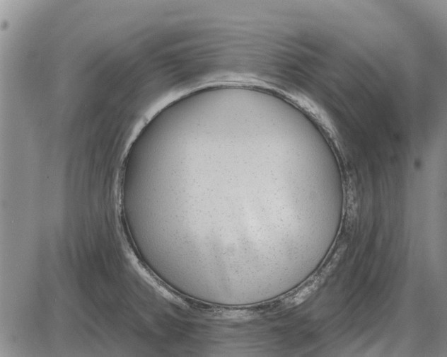 X0000085001382200703261117