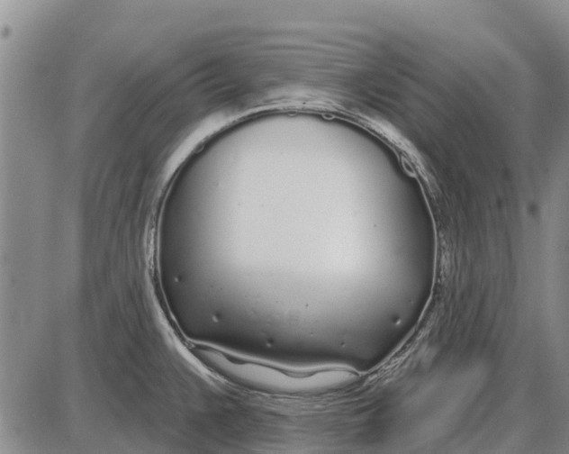 X0000085001383200703261117