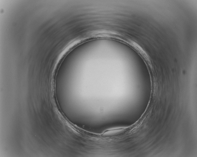 X0000085001384200703261117