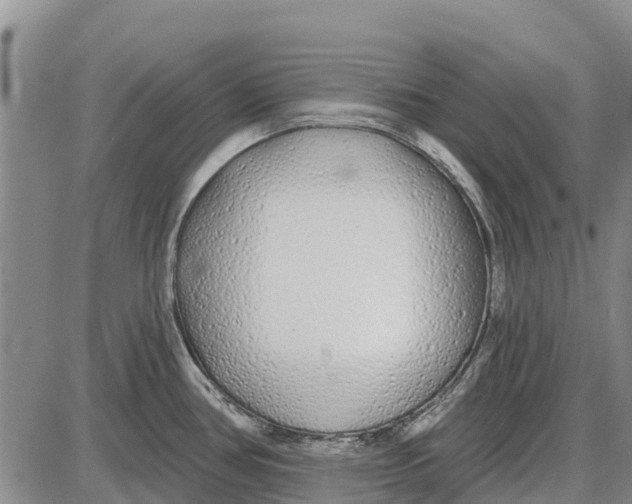 X0000085001386200703261117