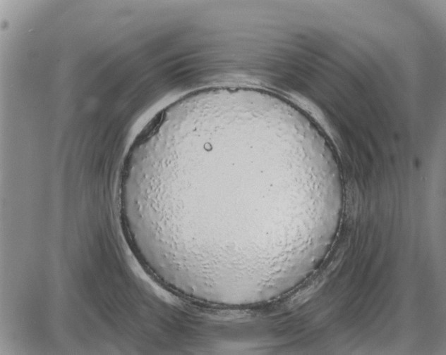 X0000085001387200703261117