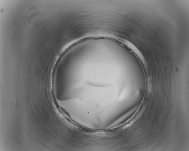 X0000085001388200703261117