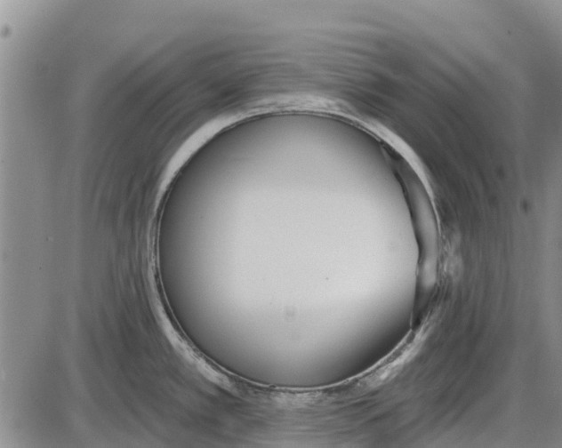 X0000085001389200703261117