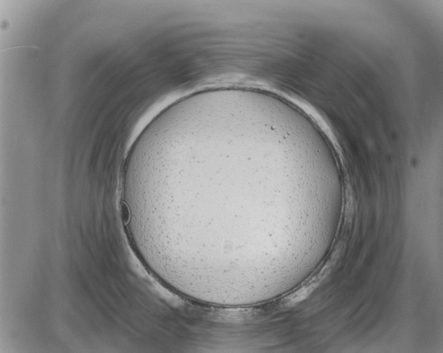 X0000085001390200703261117