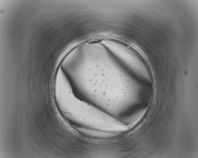 X0000085001392200703261117