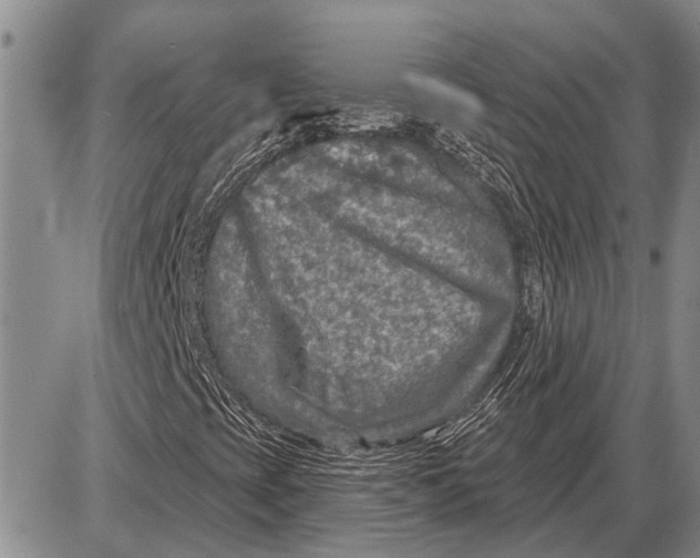 X0000085001393200703261116