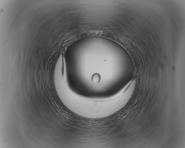 X0000085001394200703261116