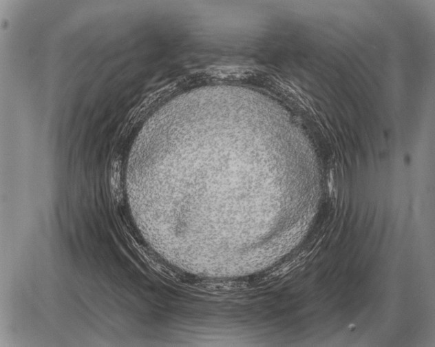 X0000085001396200703261116