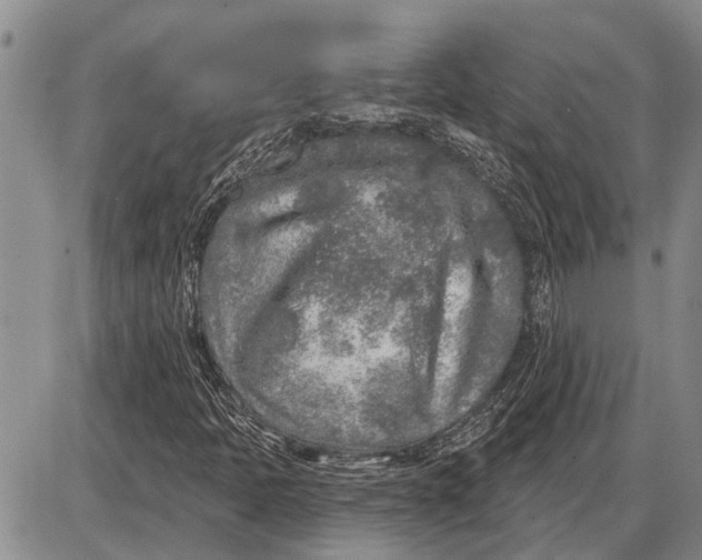 X0000085001397200703261116