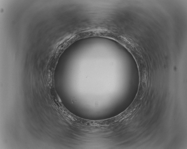 X0000085001398200703261116