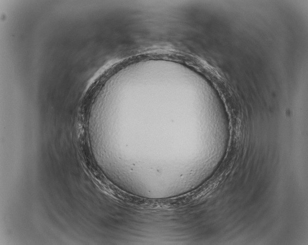 X0000085001400200703261116