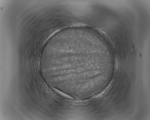 X0000085001401200703261116