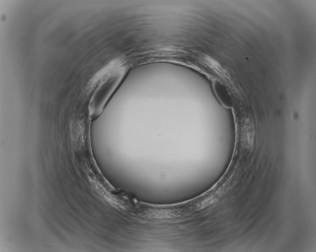 X0000085001402200703261116