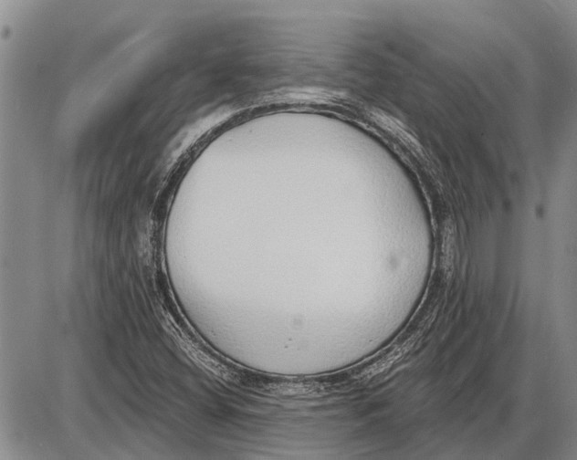 X0000085001404200703261116