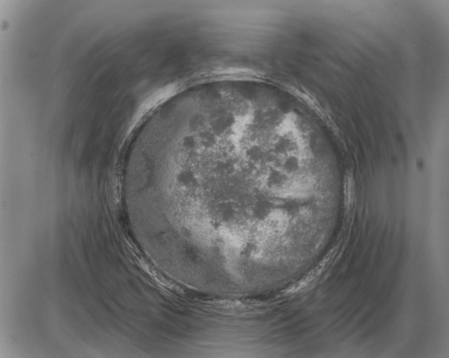 X0000085001405200703261116