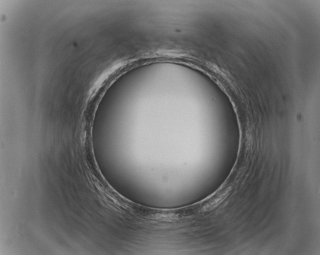 X0000085001406200703261116