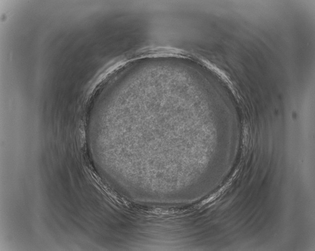 X0000085001407200703261116