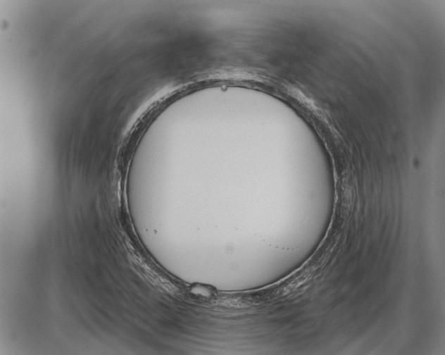 X0000085001408200703261116