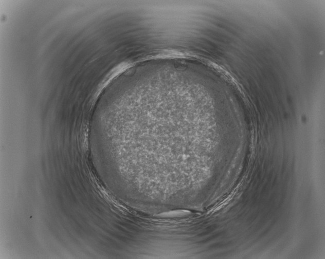 X0000085001409200703261116