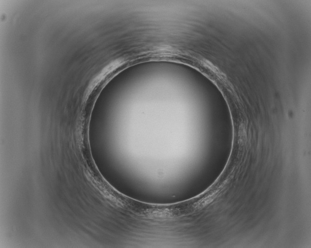 X0000085001410200703261117