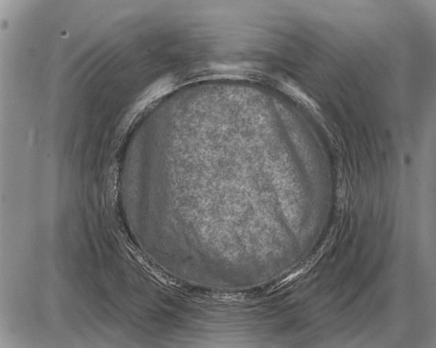 X0000085001411200703261117