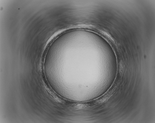 X0000085001412200703261117