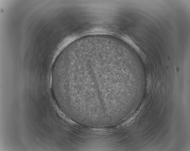 X0000085001413200703261117