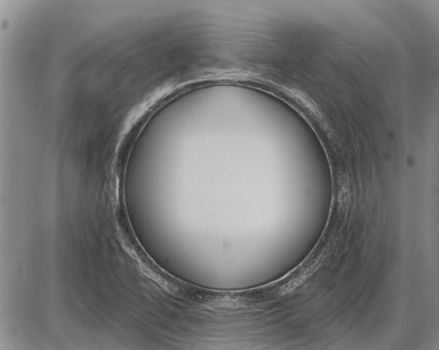 X0000085001414200703261117