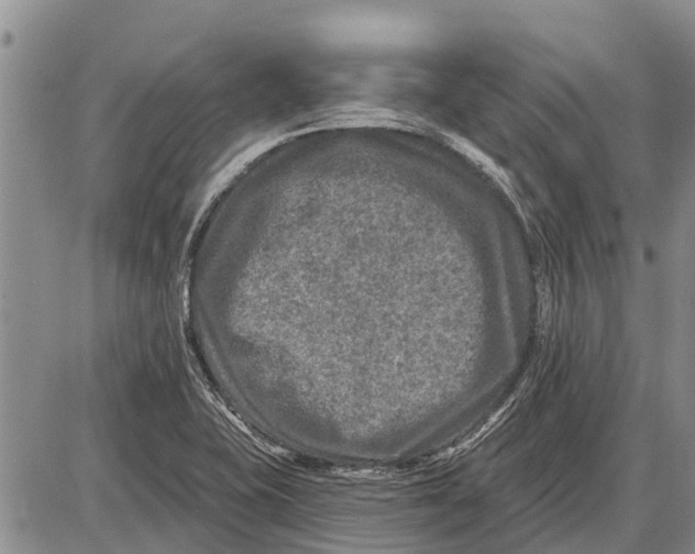 X0000085001415200703261117