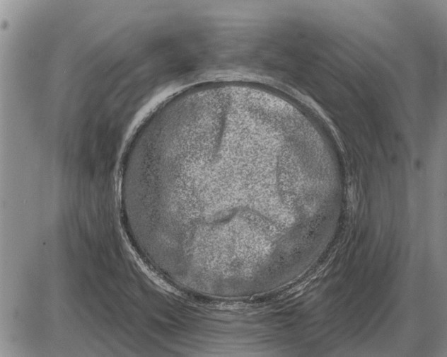 X0000085001416200703261117