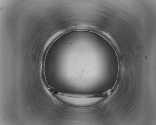 X0000085001418200703261117