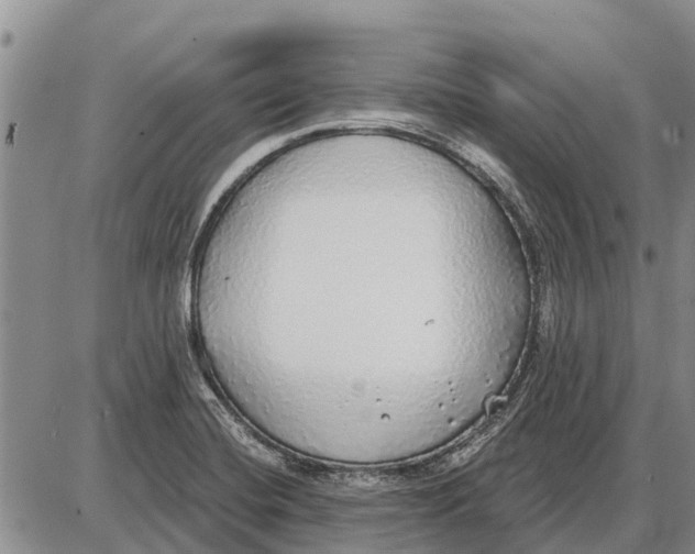 X0000085001420200703261117