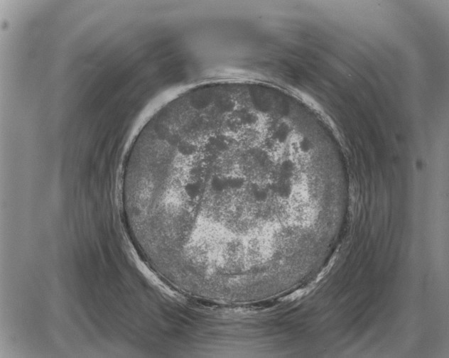 X0000085001421200703261117