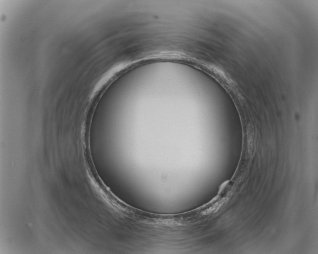 X0000085001422200703261117