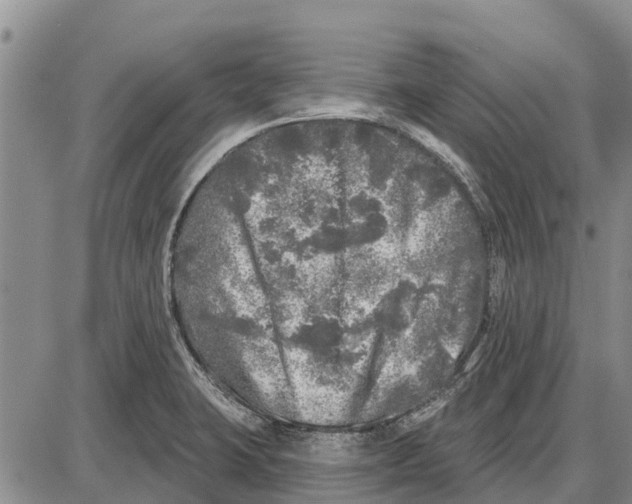 X0000085001423200703261117