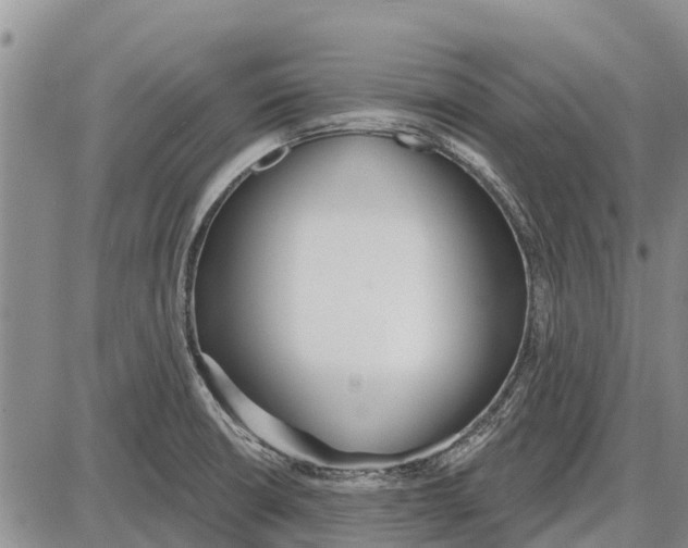 X0000085001426200703261117