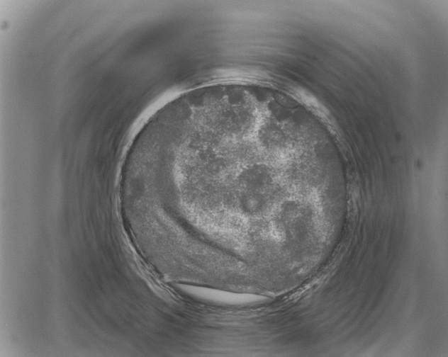 X0000085001427200703261117