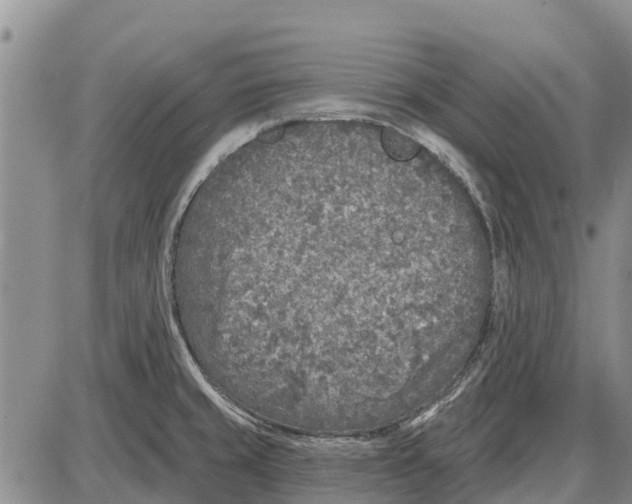 X0000085001429200703261117