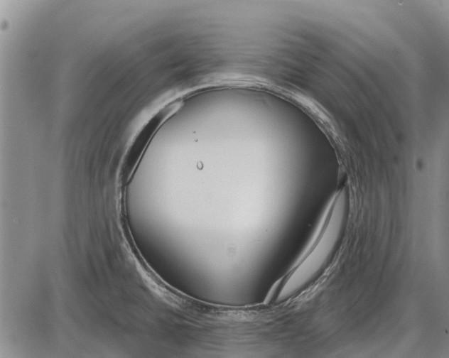 X0000085001430200703261117