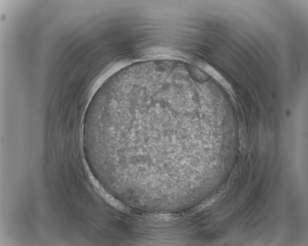 X0000085001431200703261117