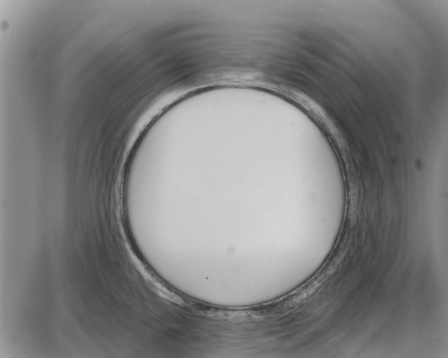 X0000085001432200703261117