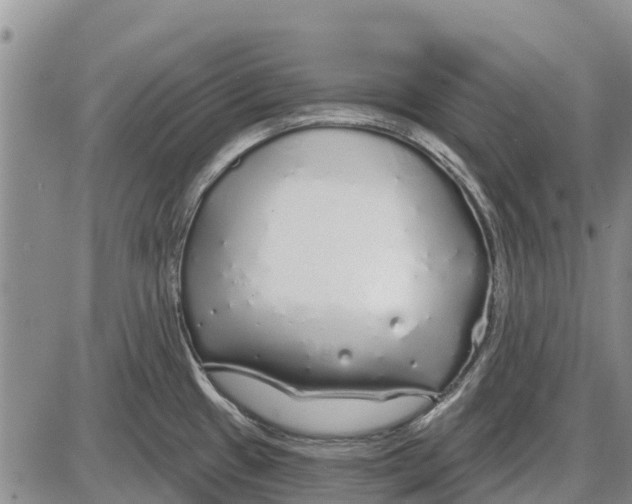 X0000085001433200703261117