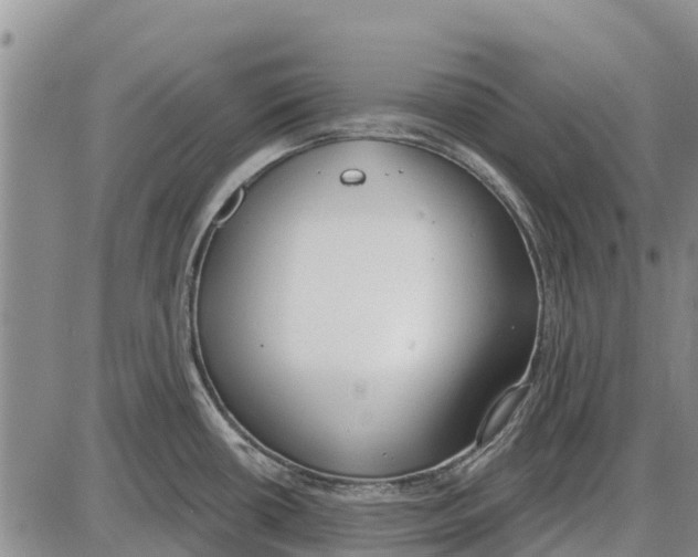 X0000085001434200703261117