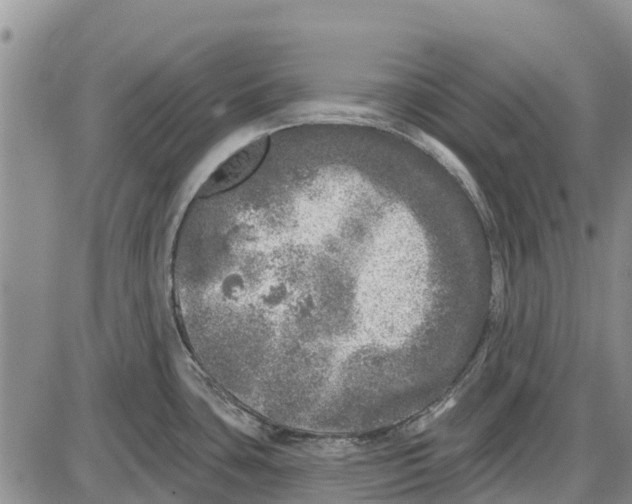 X0000085001435200703261117