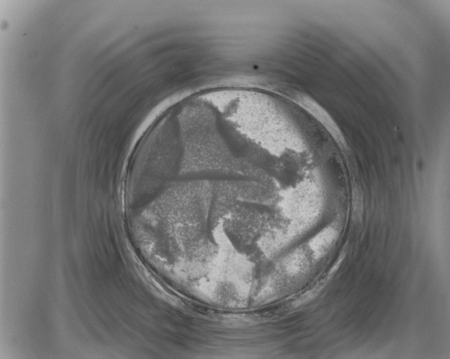 X0000085001436200703261117