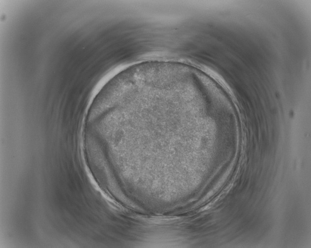 X0000085001440200703261117