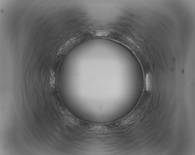 X0000085001443200703261116