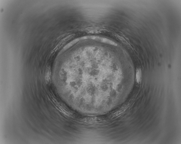 X0000085001444200703261116