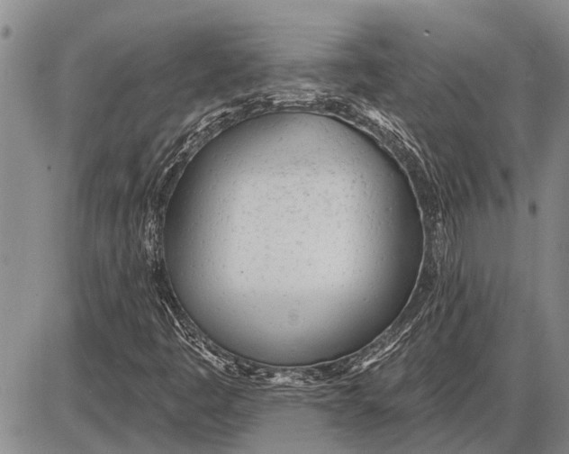 X0000085001445200703261116