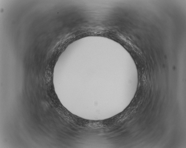 X0000085001447200703261116